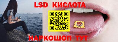 шишки Можга