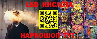 шишки Можга