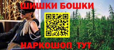 шишки Можга