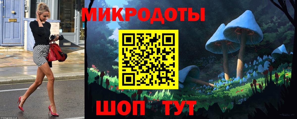 Выборг  Галлюциногенные грибы Magic Shrooms  Вход с VPN  Псилоцибиновые грибы Psilocybine cubensis 