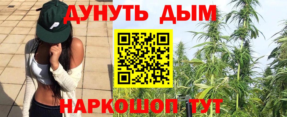 Шишки марихуана Bruce Banner  Вход с VPN  Канабис Amnesia  Бошки Шишки тримм  Выборг 