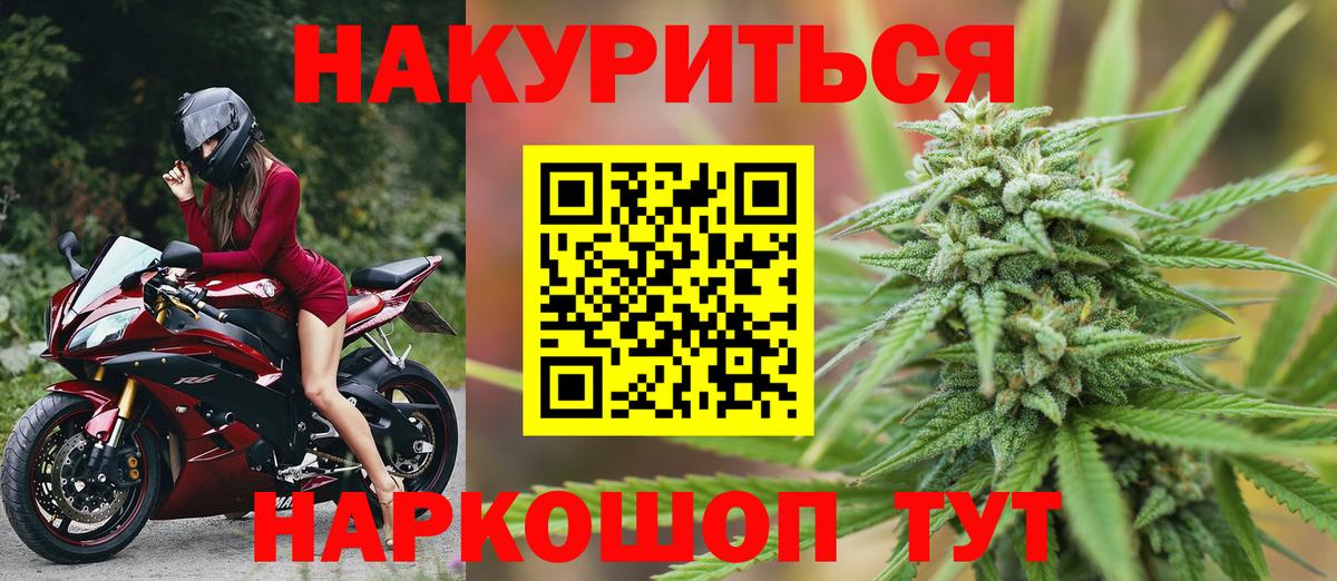 Бошки Шишки план Выборг